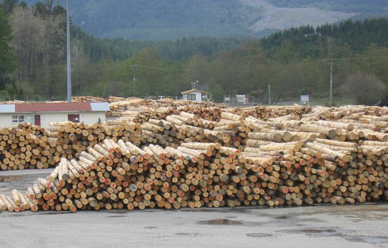 How sawdust is worth $500,000